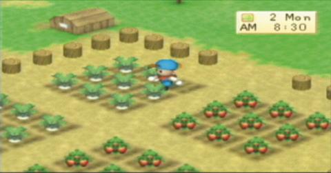 harvest moon girl ps1