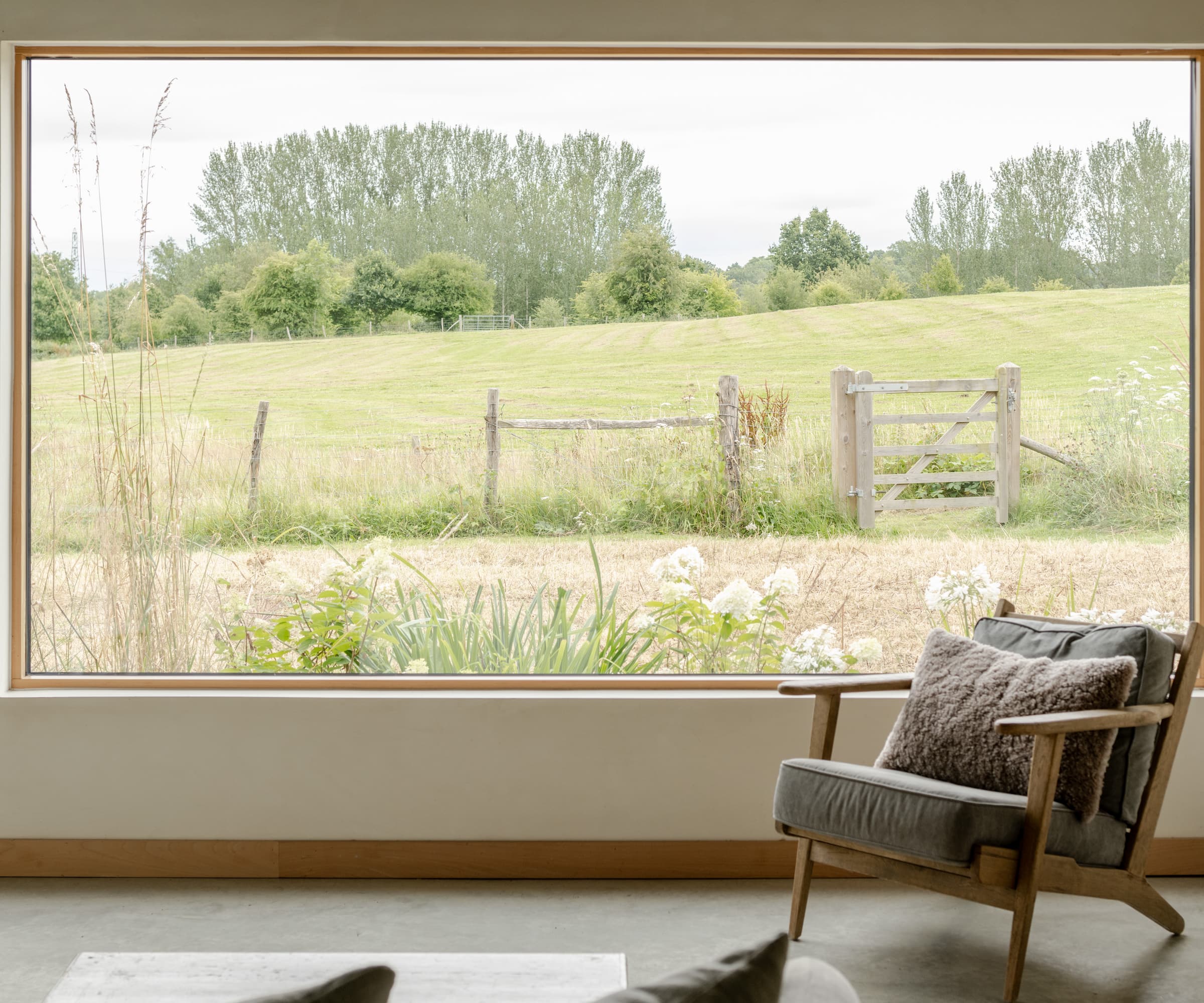 A picture window overlooking an outside meadow and field