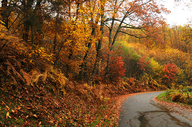 seyssuel, vienne, french wine