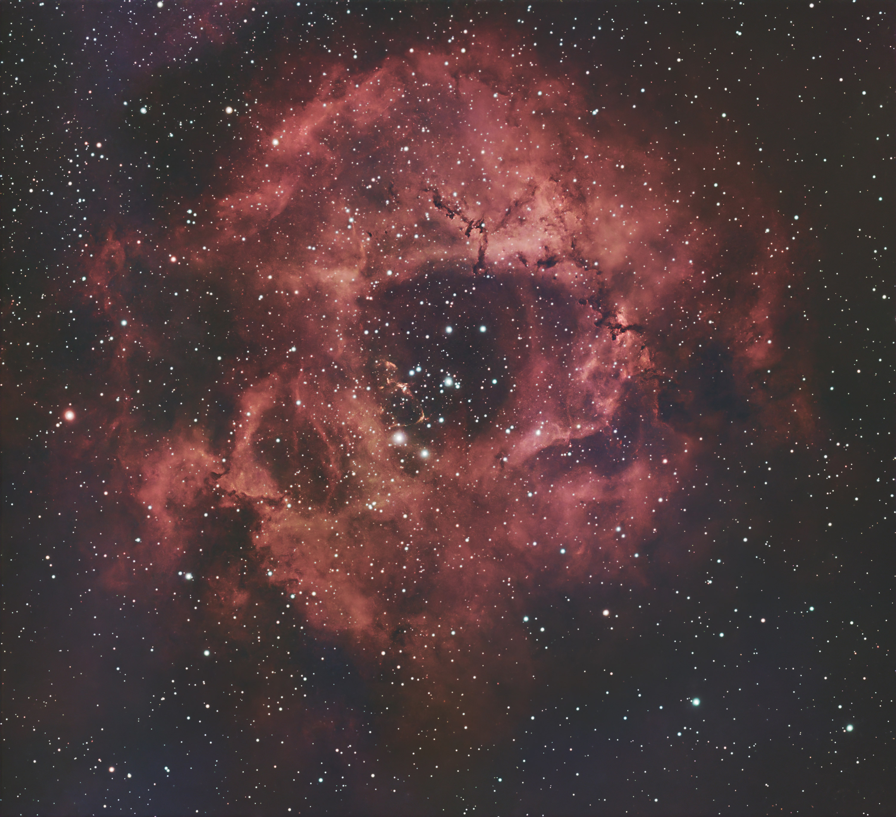 The Rosette nebula photographed with the ZWO Seestar S50 smart telescope and processed in Pixinsight