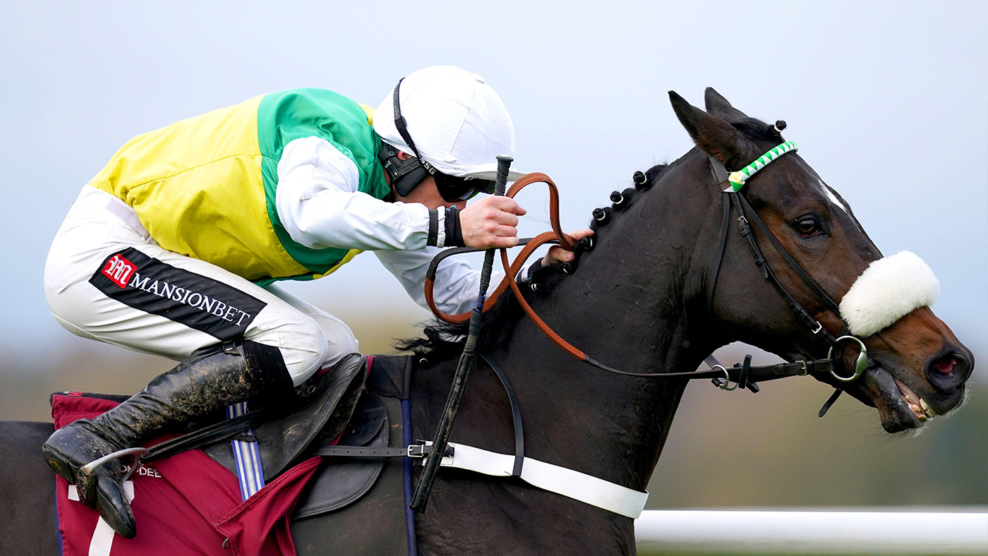 Horses to follow: the Donald McCain-trained Richmond Lake