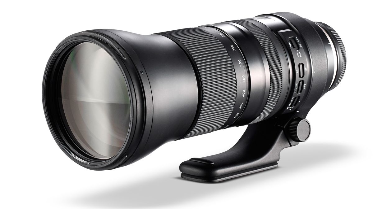 Best lens for sports photography in 2024 Digital Camera World