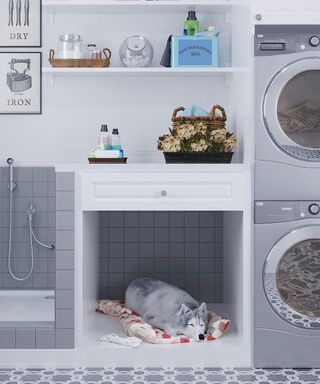 Laundry room with integrated pet bed