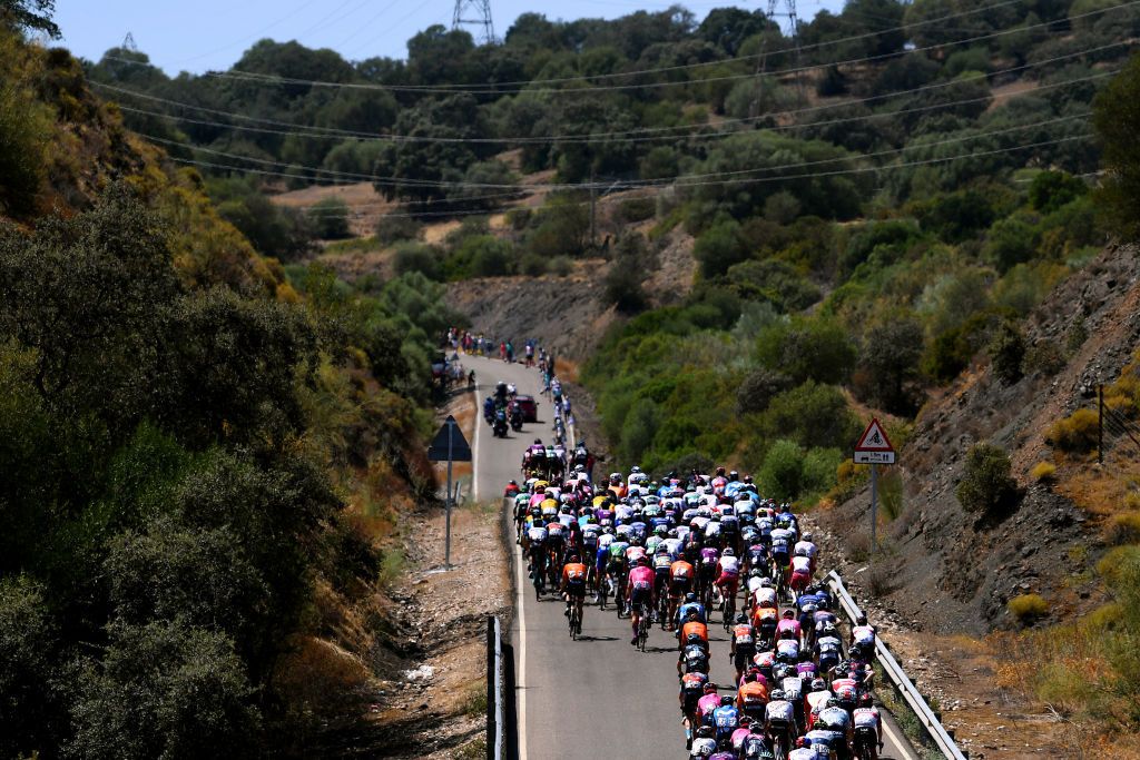 CORDOBA SPAIN AUGUST 26 A general view of the peloton compete during the 76th Tour of Spain 2021 Stage 12 a 175 km stage from Jan to Crdoba lavuelta LaVuelta21 on August 26 2021 in Cordoba Spain Photo by Tim de WaeleGetty Images