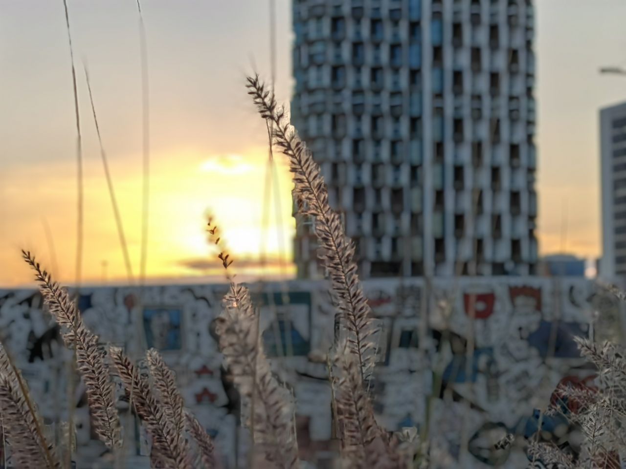 Shot on Huawei P50 Pro