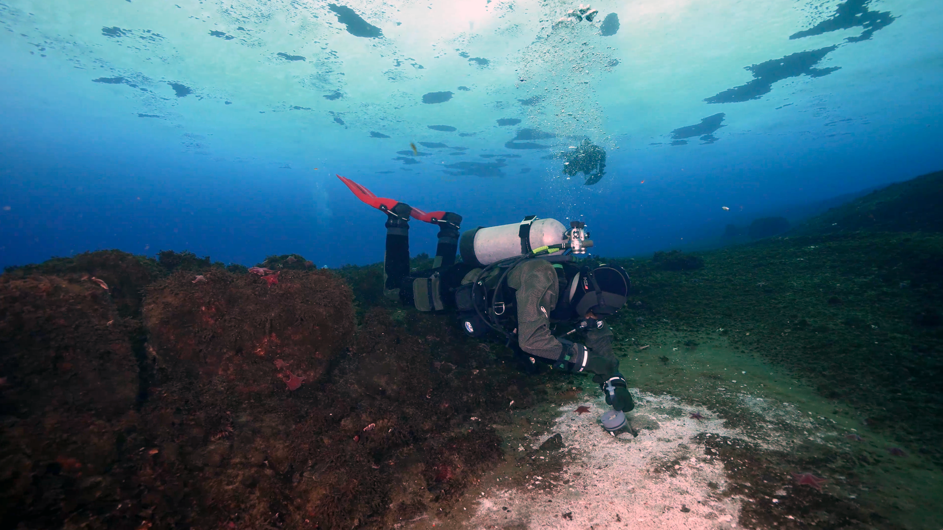 Methane leaks multiplying beneath Antarctic ocean spark fears of ...