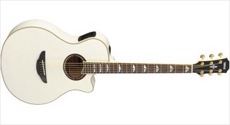 Yamaha apx1000