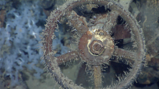 Musashi valve wheel, battleship shipwreck