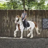 Riding lesson – £35 Riding lesson – £35
