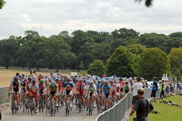 The bunch in Richmond Park