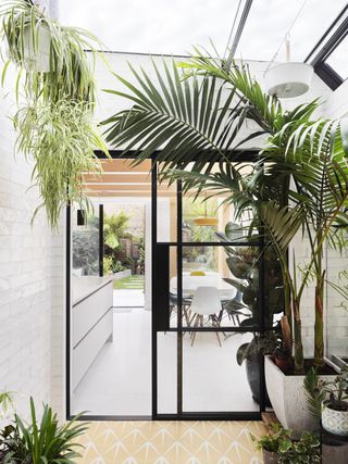A plant-filled kitchen