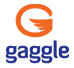 Product: Gaggle Apps