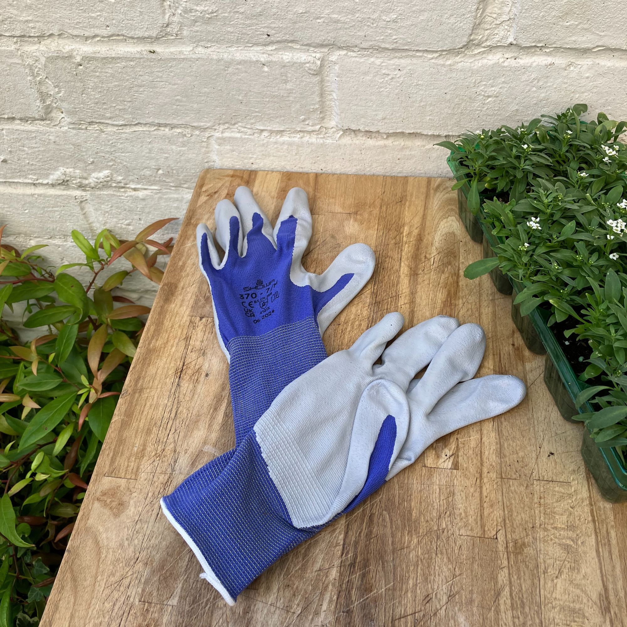 blue gardening gloves
