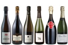 non-vintage Champagnes
