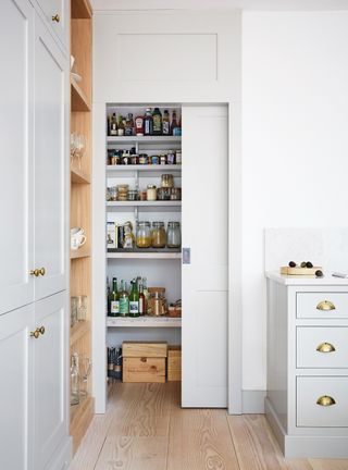 Pantry storage ideas with sliding door