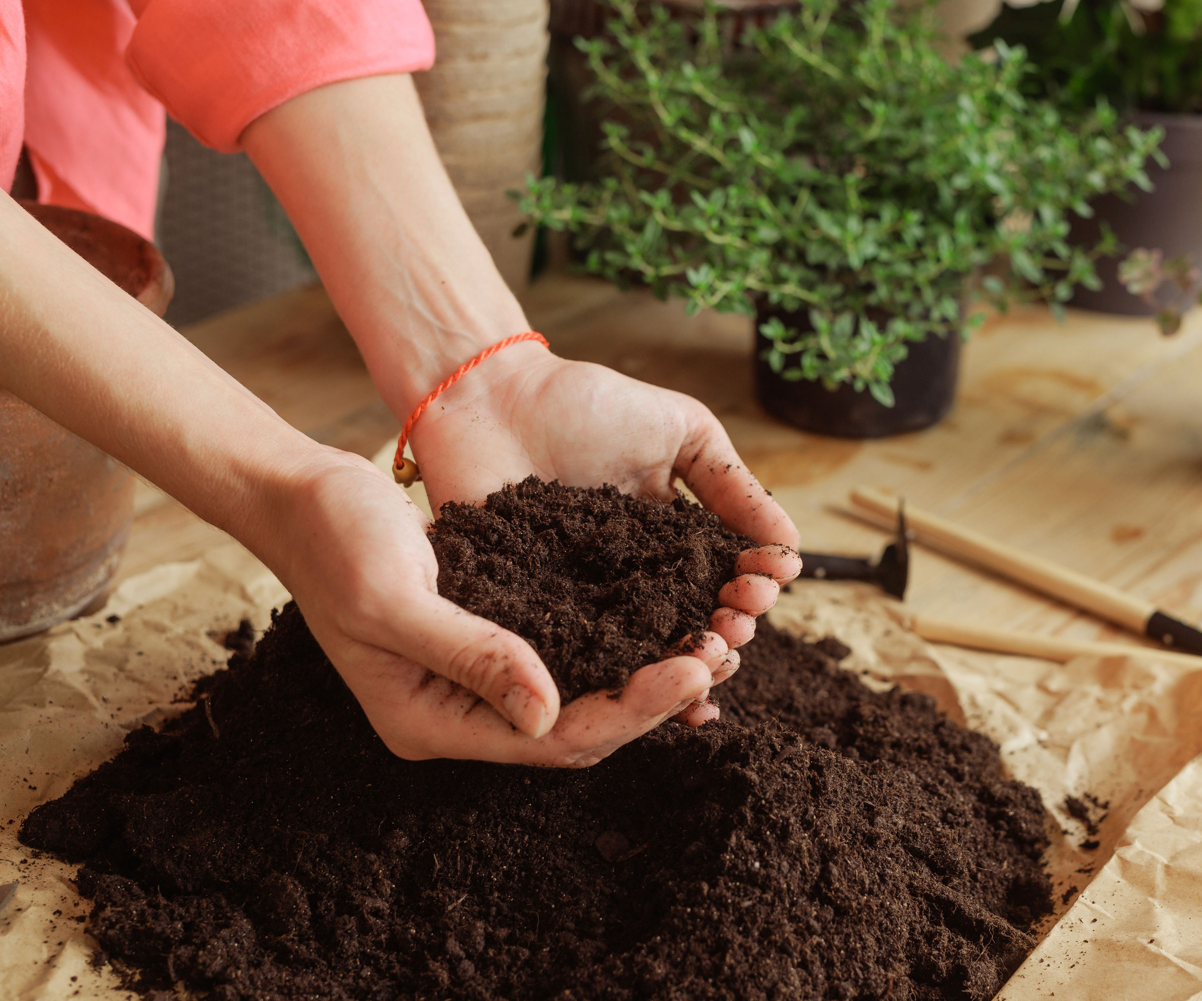 female hands fluffing up potting soil on table