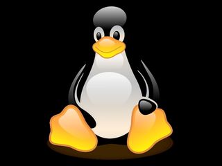 Linux penguin