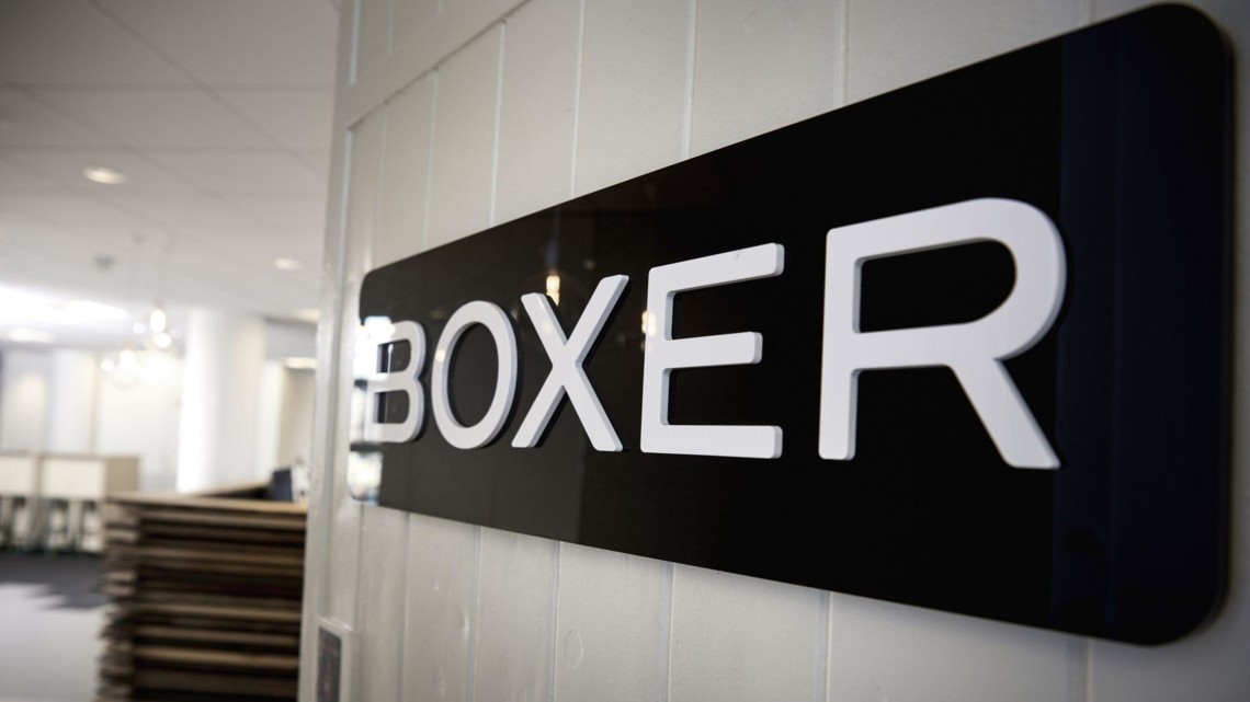 boxer norlys