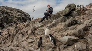 Scientist Michael Wethington, an applied ecologist at Stony Brook University in New York, pilots a drone over a penguin colony in Wide Open Island in Antarctica.