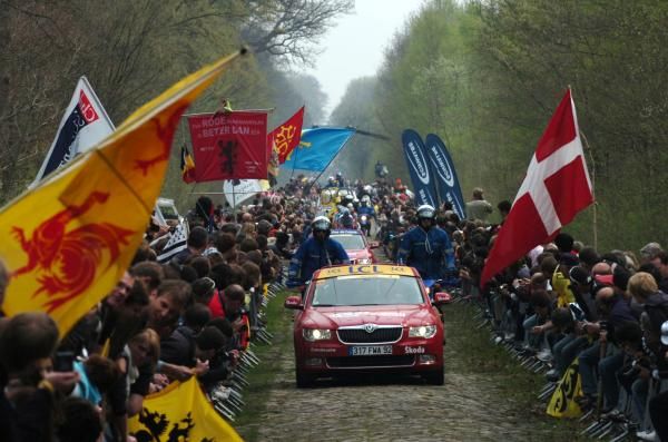 The peloton makes its way down the 2.4 kilometre sector of pave in the Arenberg forest last year.