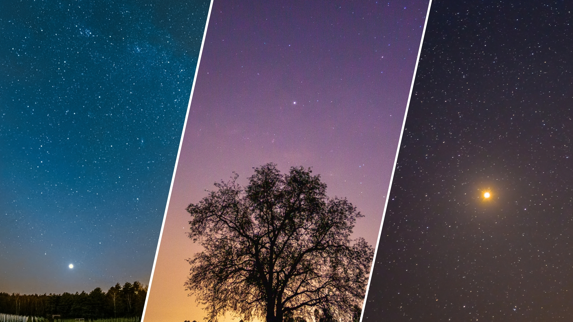 three panel image showing on the left a bright point of light in a deep blue sky in the center a tree is silhouetted against a pink hue sky and on the right an orange glowing point of light in a dark sky.