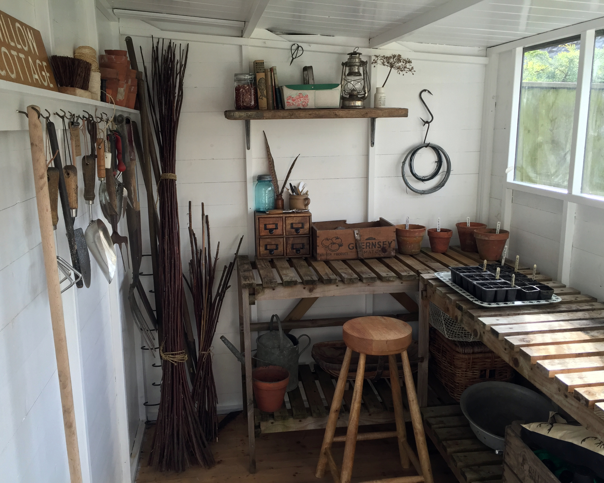 Interior of shed with potting benches
