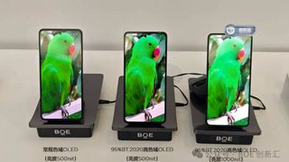 Three phones with BOE OLED display with green bird on screen 