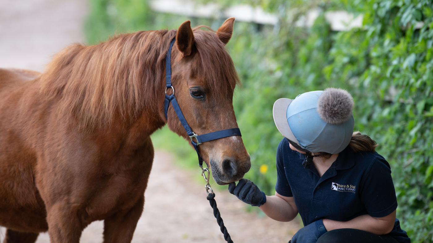 Chesney with groom, Honeysuckle, Fiona Crawford, April 2021 (2)