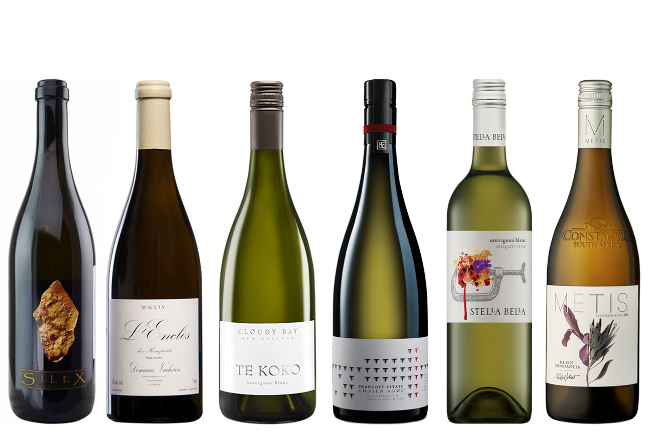 Best Sauvignon Blanc Wines