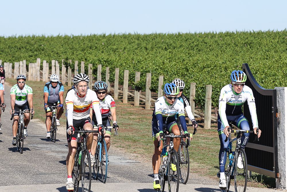 River &amp; Ranges Winery Ride at Mitchelton Winery, Nagambie, Victoria, Australia, Sunday, November, 22, 2015.