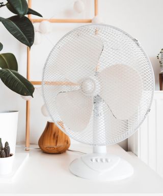 A white fan standing on a white desk with a dark green plant to the left of it, a wooden diffuser behind it, and a wooden ladder behind it too