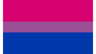 Bisexual pride flag