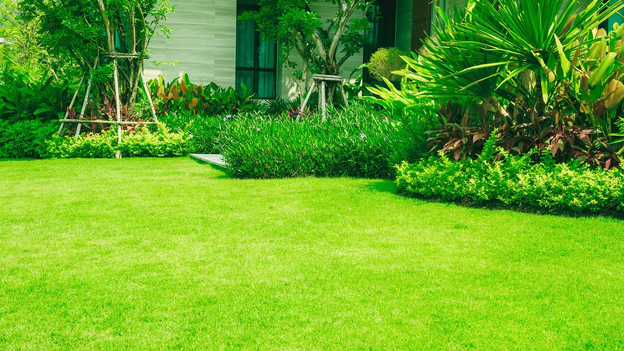 green lawn and flower beds