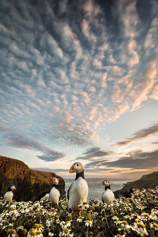 ©Landscape Photographer of the Year awards - Matthew Cattell