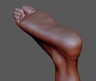 Define the overall gesture and character of the foot