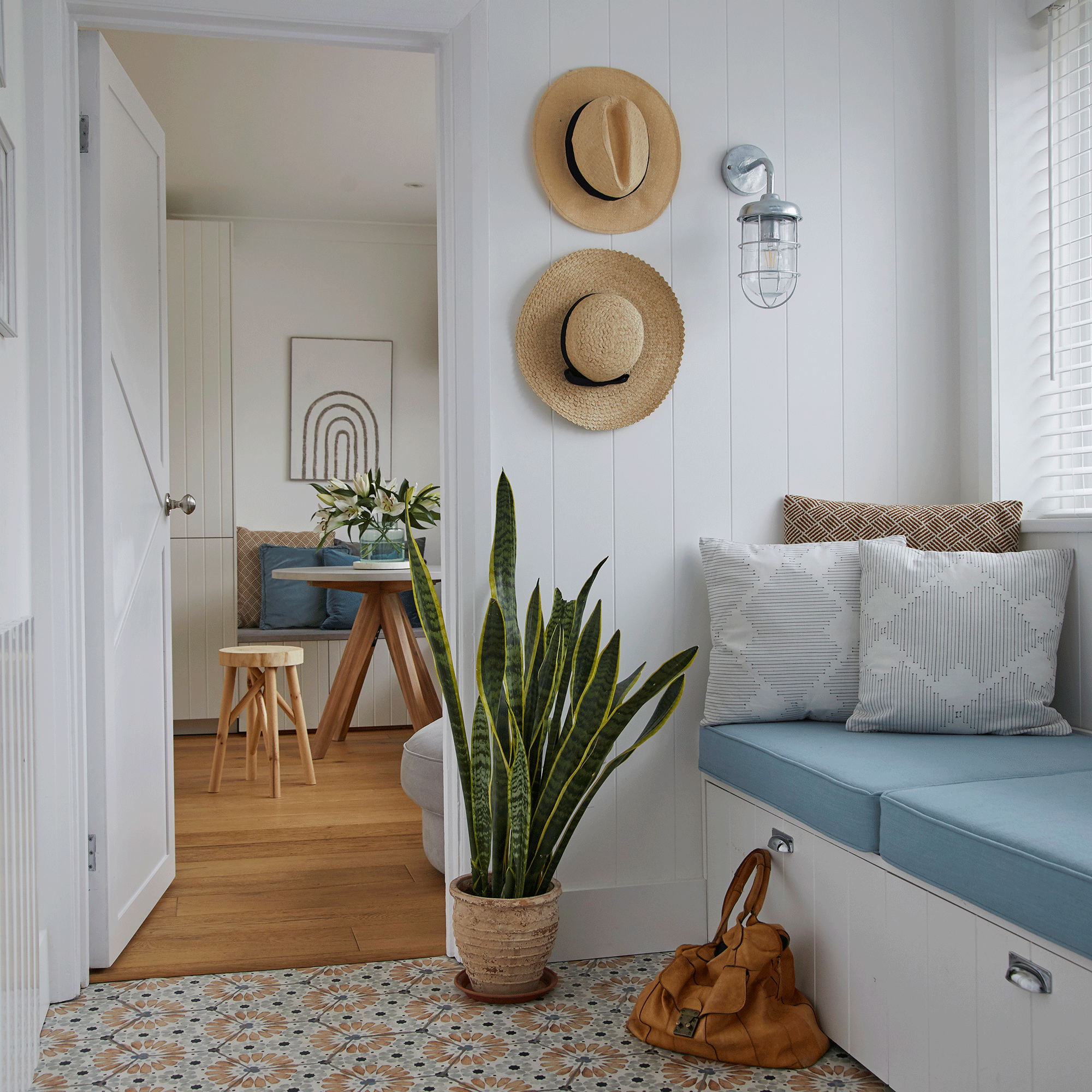 Boot room with blue cushions and large snake plant