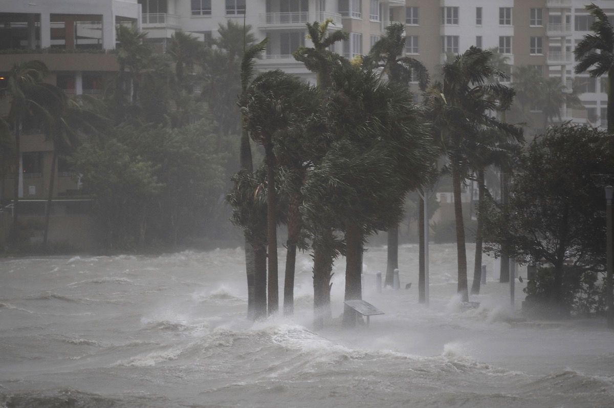 Water flowing out of the Miami River floods a walkway as Hurricane Irma passes through on Sept. 10, 2017, in Miami, Florida. 