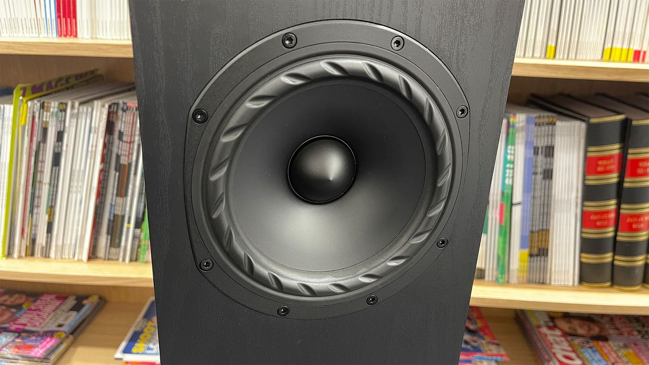 Fyne Audio F501E floorstanding speakers