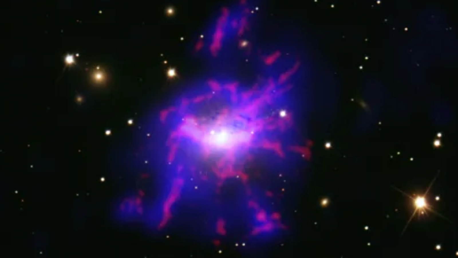 A large purple spiral against a black background