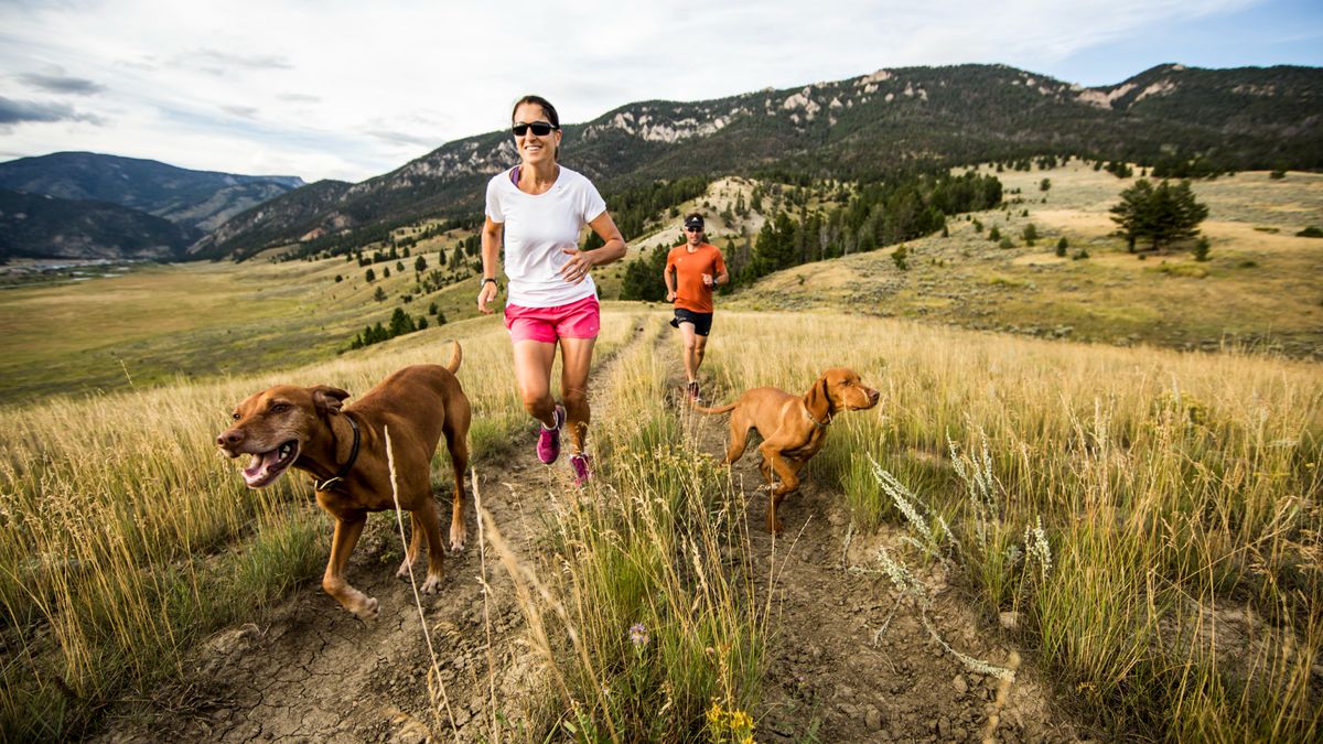 A guide to trail running with your dog Advnture