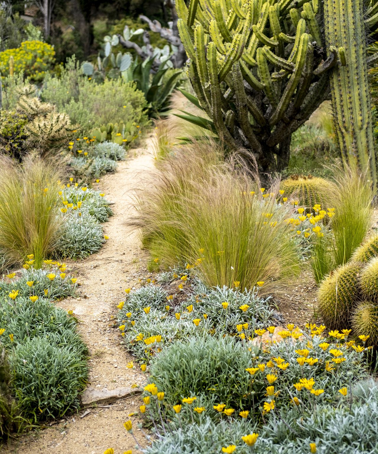 Landscaping with sand: 10 ways to add a coastal vibe | Gardeningetc