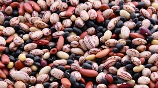 What are superfoods? Pulses