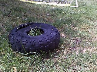 Old tyre chew toy
