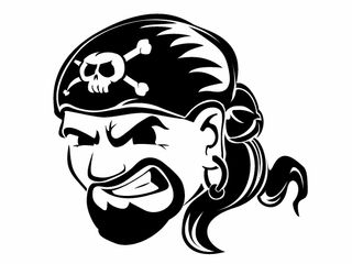 Web pirates look like real pirates, don't chak now