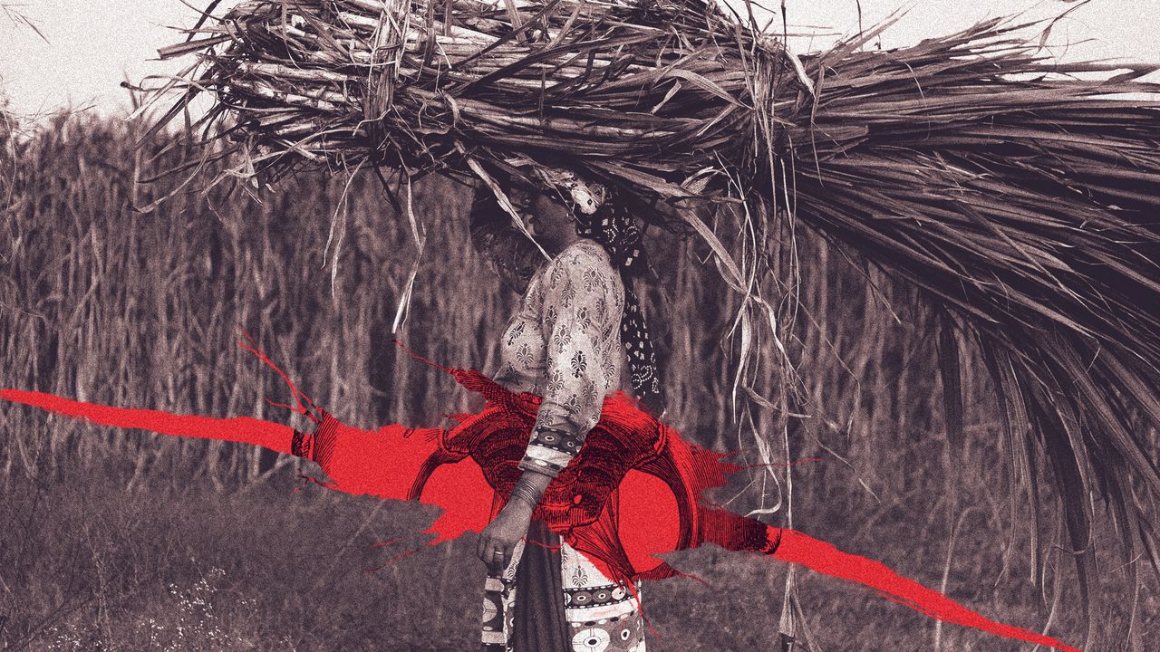 Photo collage of a woman wearing a saree, carrying a bundle of sugarcane on her head. There is a tear in the photo over her stocham, revealing a medical illustration of a pelvis underneath.