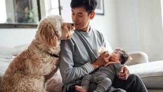 man feeding baby with dog watching on