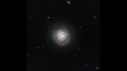 ESO 420-G013's perfectly round disk of stars resembles a baseball. Image credit: