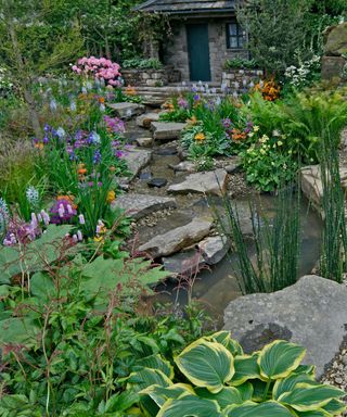 rain garden with planting, rocks and gravel