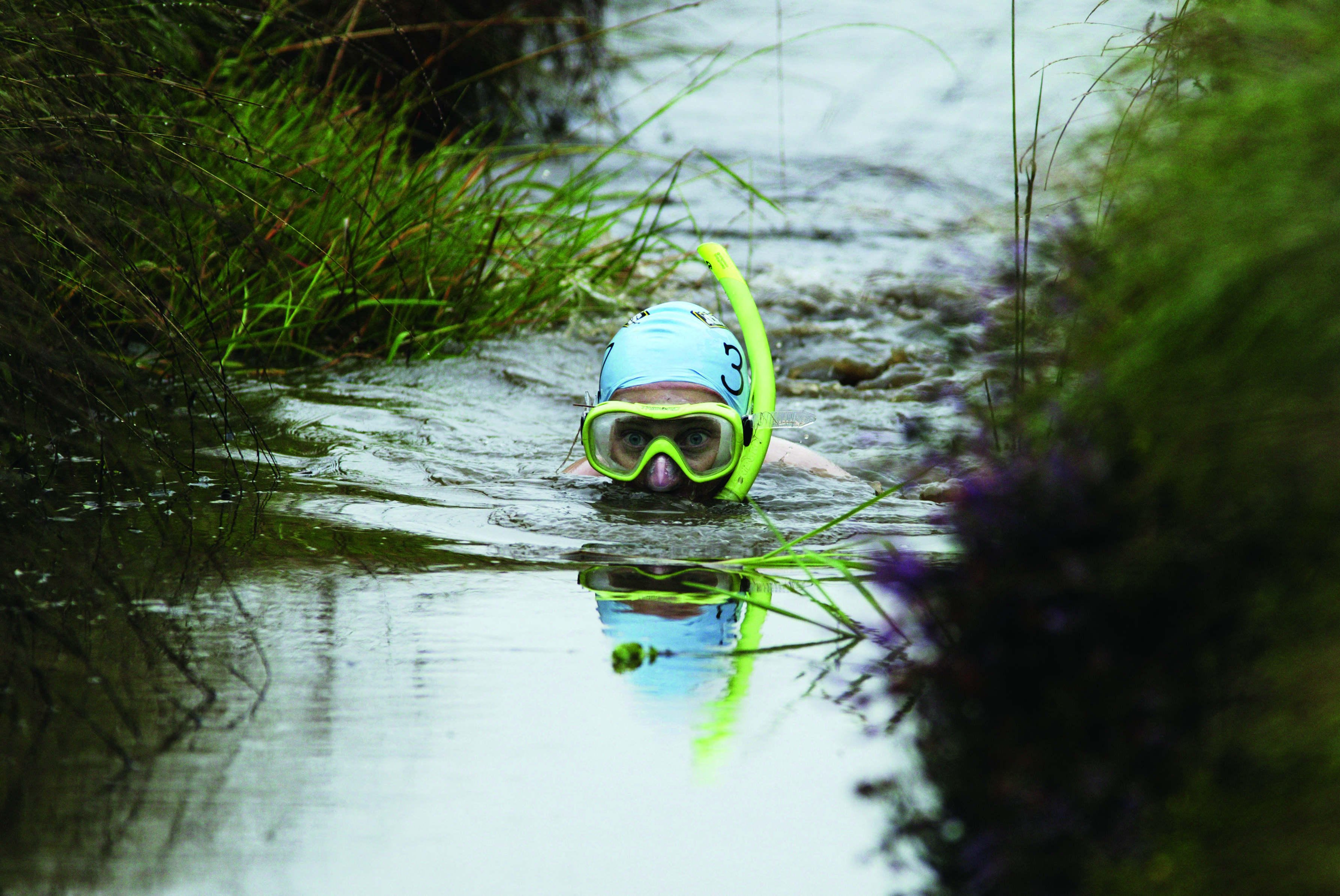 Bog snorkelling