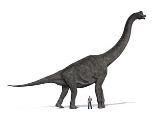 dinosaur with long neck that eats plants